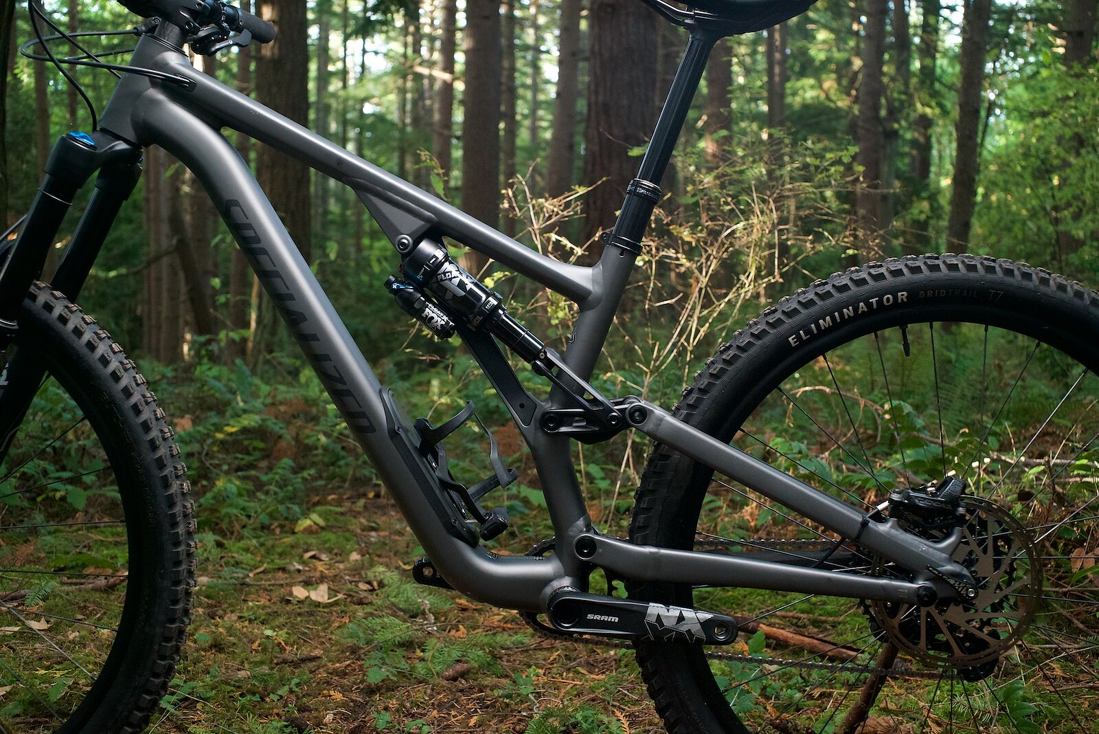 Bike Review Specialized Stumpjumper EVO Comp Alloy Freehub Magazine